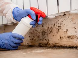 Forensic Mold Investigation in Addison, TX